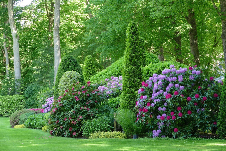 Plan de plantation pour le jardin: à quoi faut-il penser ?
