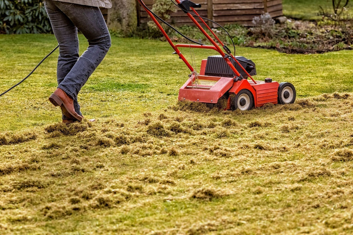 Quand et comment scarifier votre gazon ?