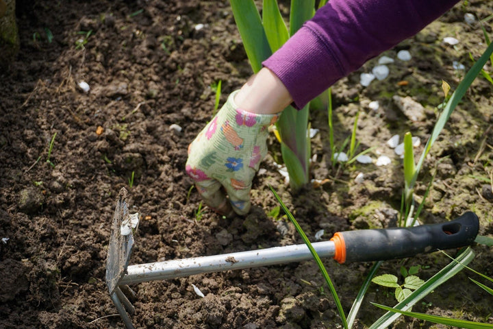 Qu'est-ce que les mauvaises herbes ?