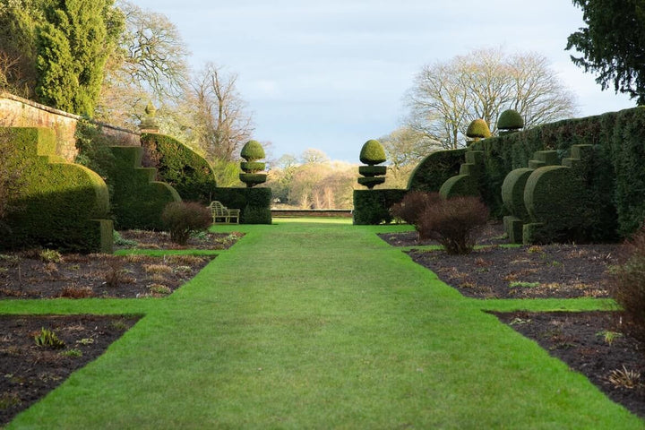 La meilleure façon de niveler le jardin