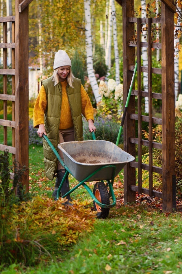 De tuin in oktober