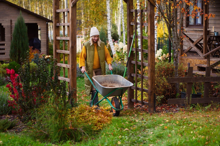 Calendrier du jardinage pour le mois d’octobre