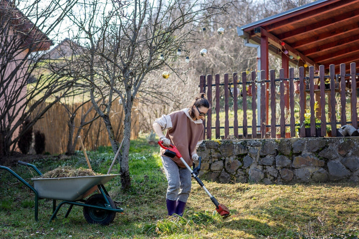 Calendrier du jardin en février : préparez votre jardin pour le printemps !