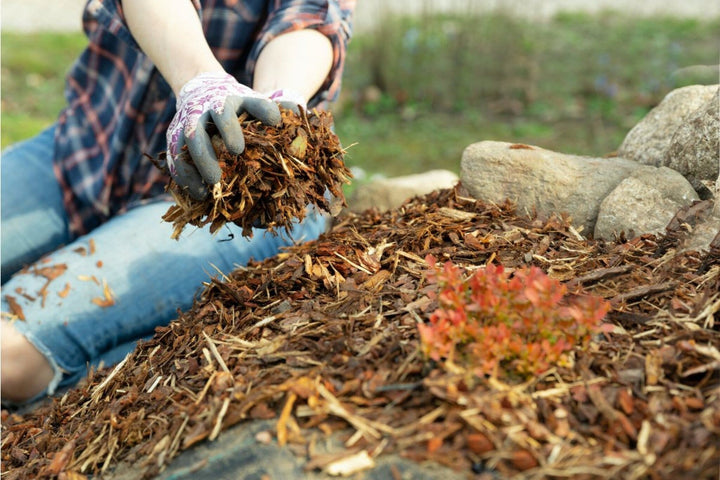 Le paillage : qu'est-ce que c'est et comment le faire ?