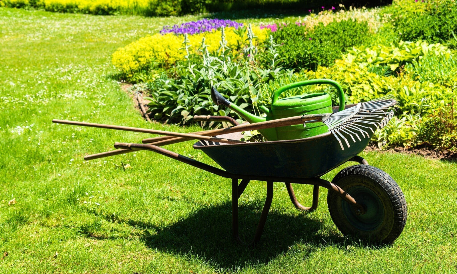 Les outils de jardinage indispensables à tout jardinier