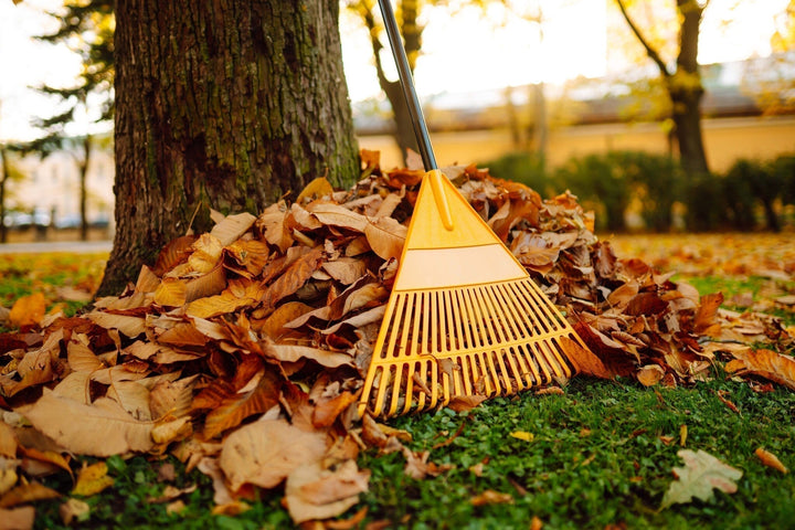 Tâches d'automne dans le jardin
