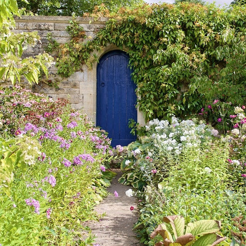 Un jardin sans entretien en 8 étapes