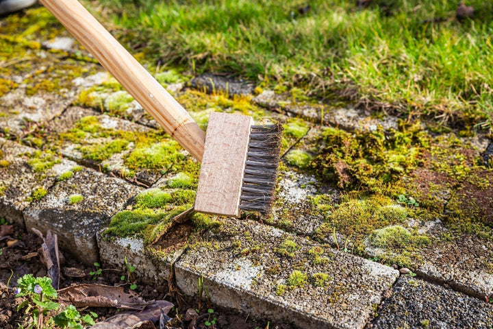 Prévenir et contrôler les mauvaises herbes et la mousse