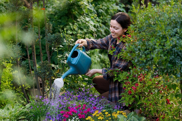 Calendrier du jardin pour juin : le jardin est à son apogée !