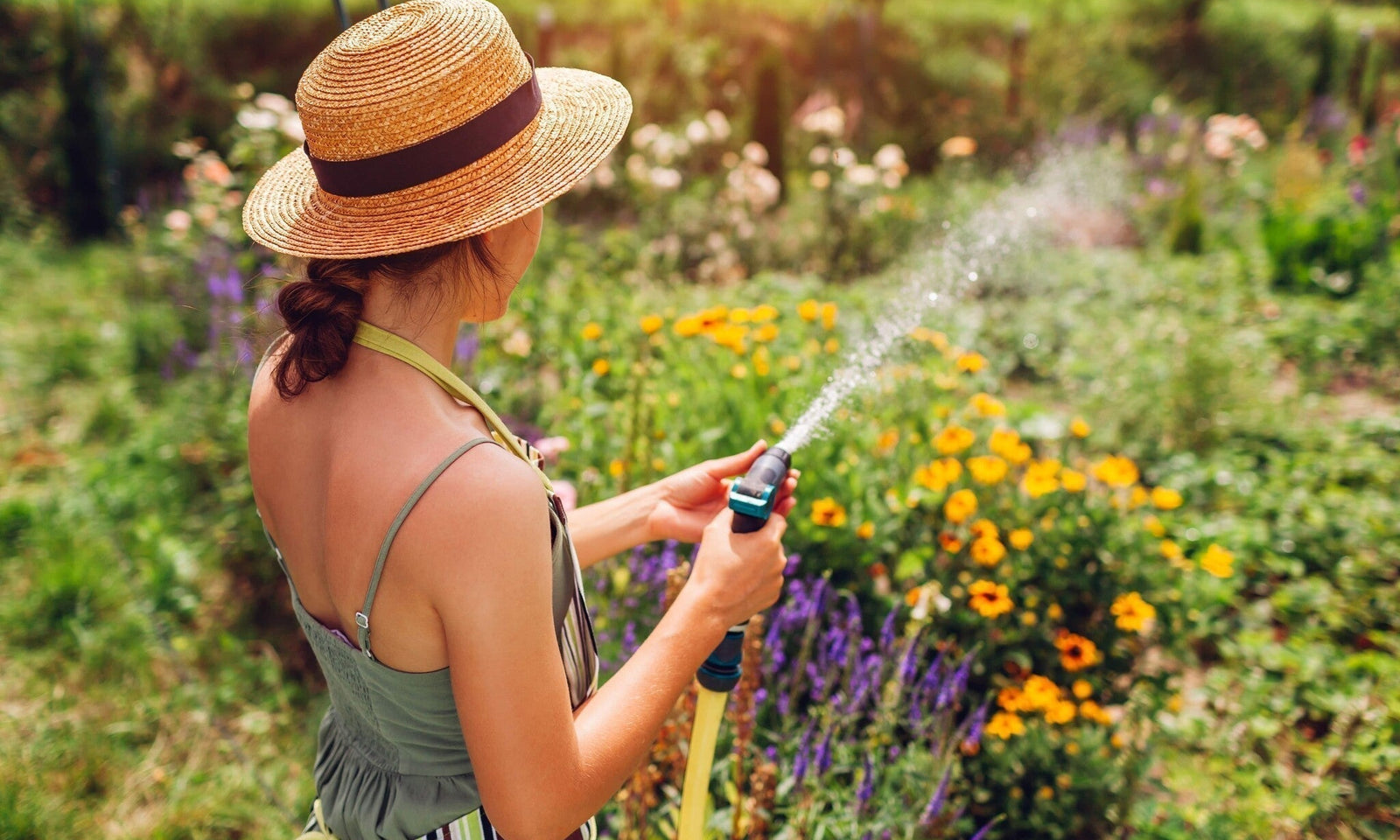 Calendrier du jardinage pour le mois de juillet : conseils pour un jardin estival !