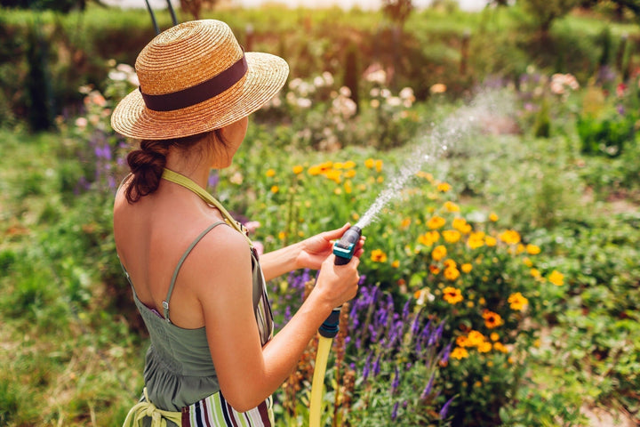 Calendrier du jardinage pour le mois de juillet : conseils pour un jardin estival !