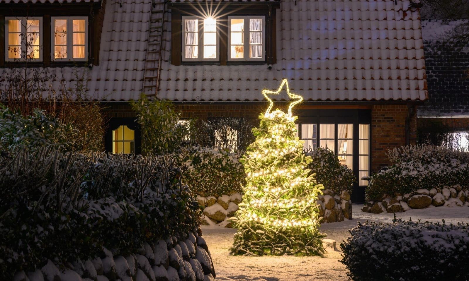 Calendrier du jardinage pour le mois de décembre