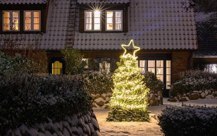 Calendrier du jardinage pour le mois de décembre