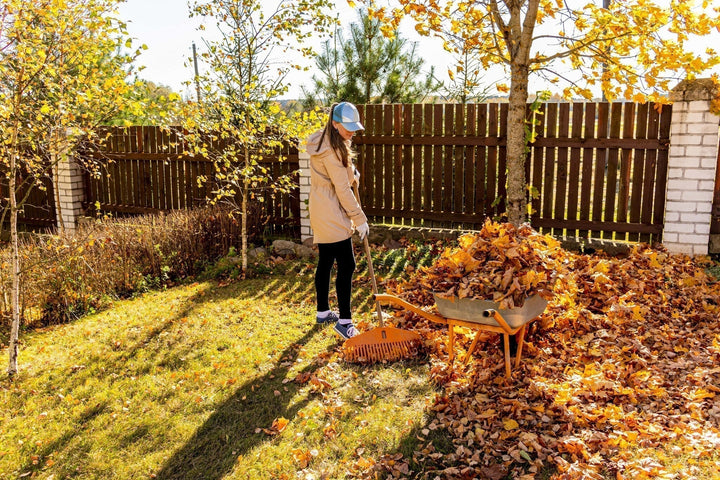 Calendrier du jardinage pour le mois de novembre