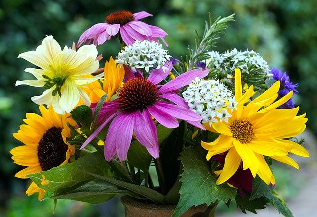 Fleurs d'été tous les tenants et aboutissants