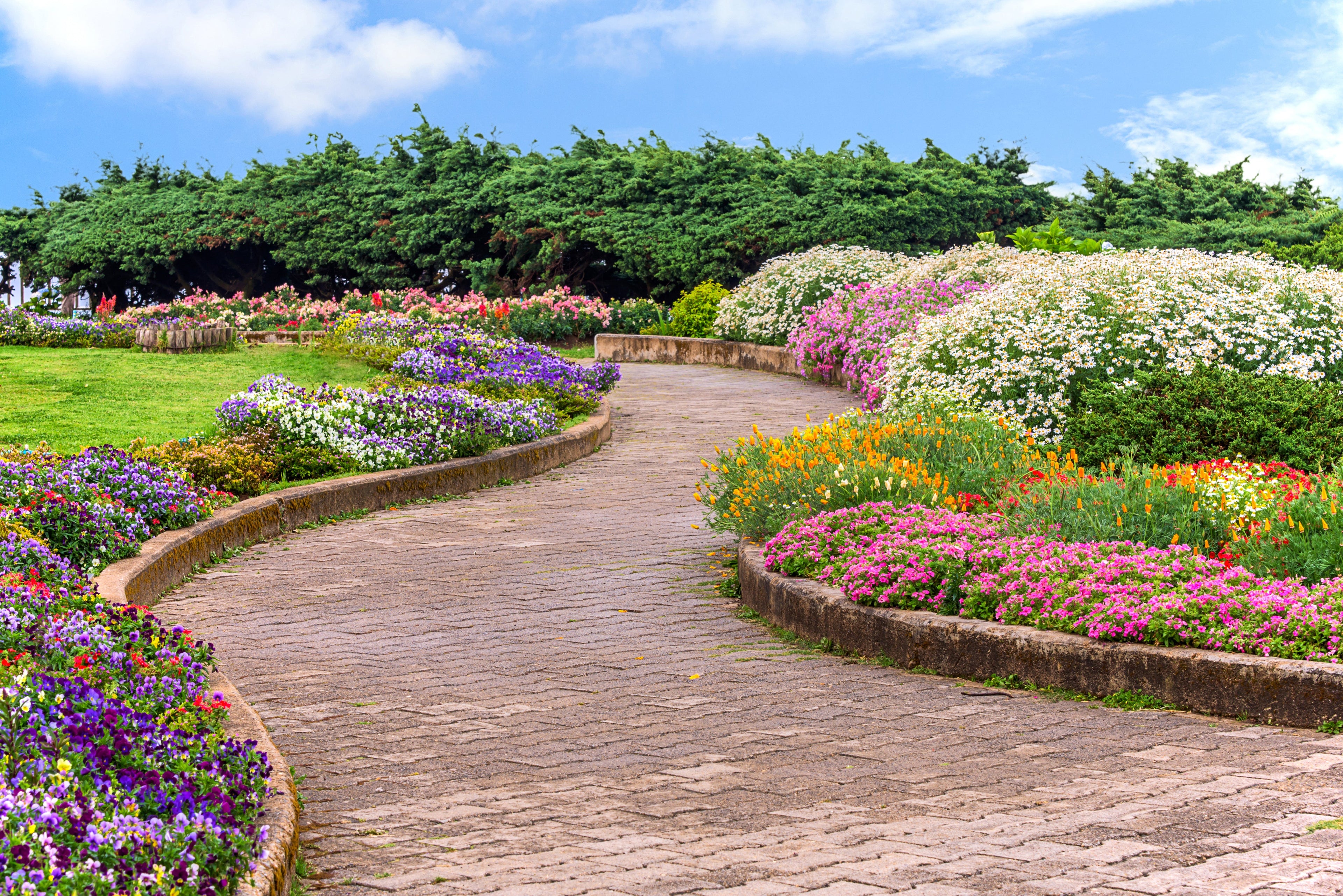 Siertuin