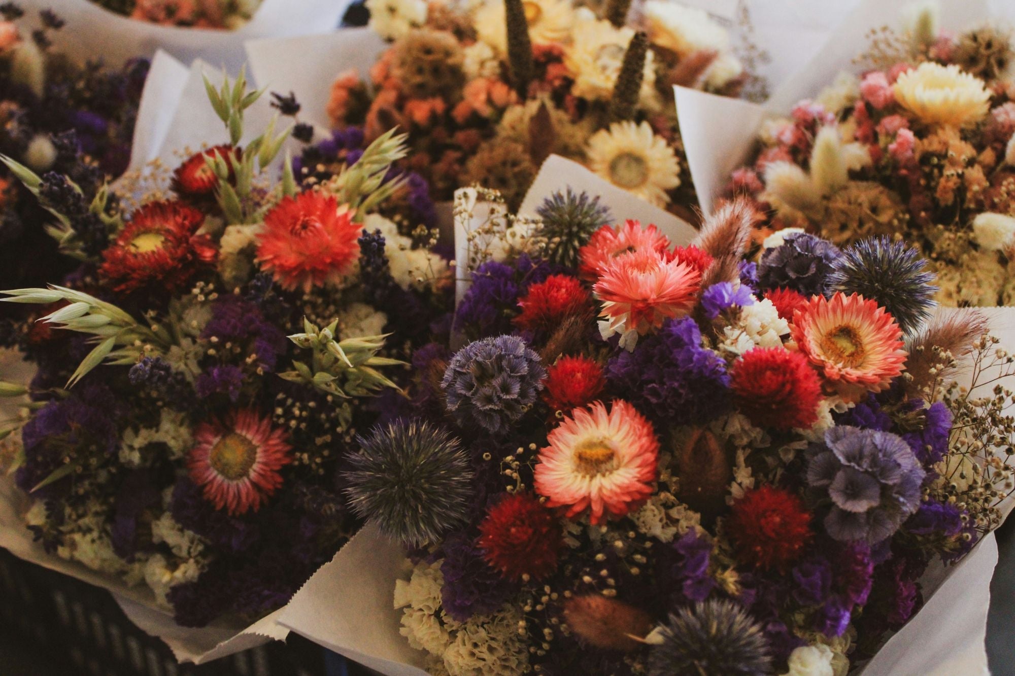 Droogbloemen zaden