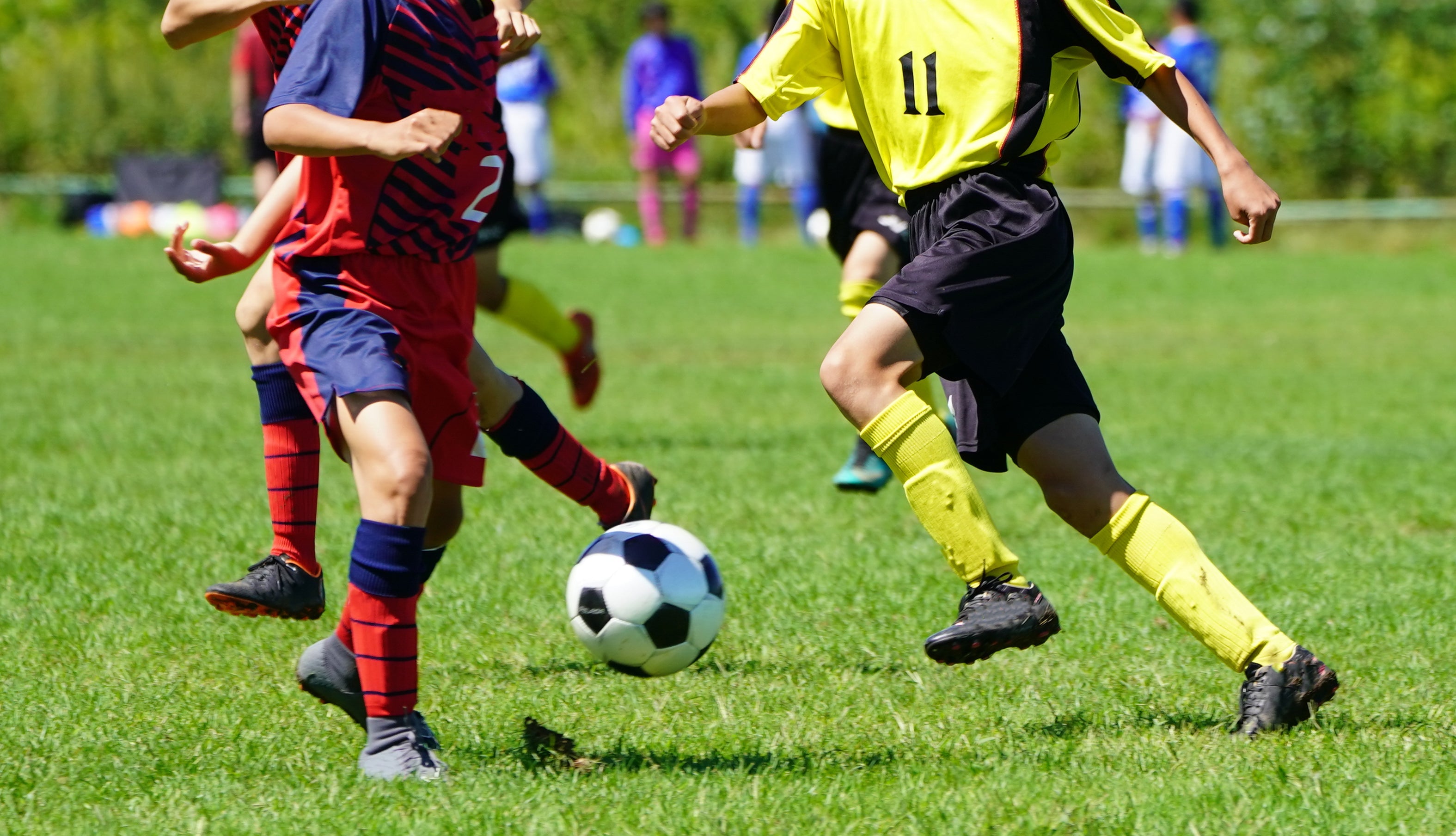 Sport & Recreatie