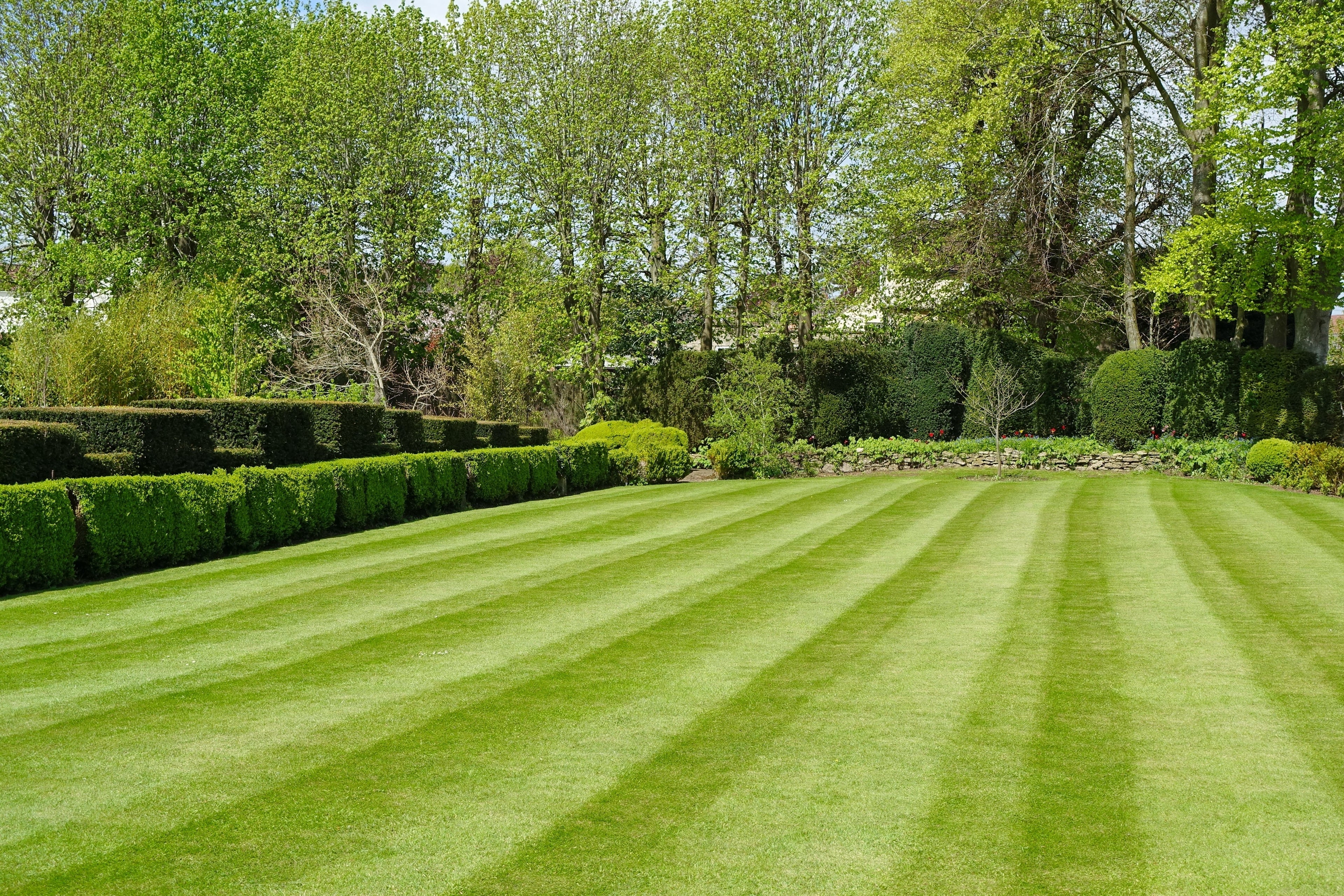Parken & plantsoenen