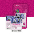 Myosotis des champs – Myosotis arvensis