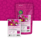 Cosmos bipinnatus 'Dwarf Sensation' mixte