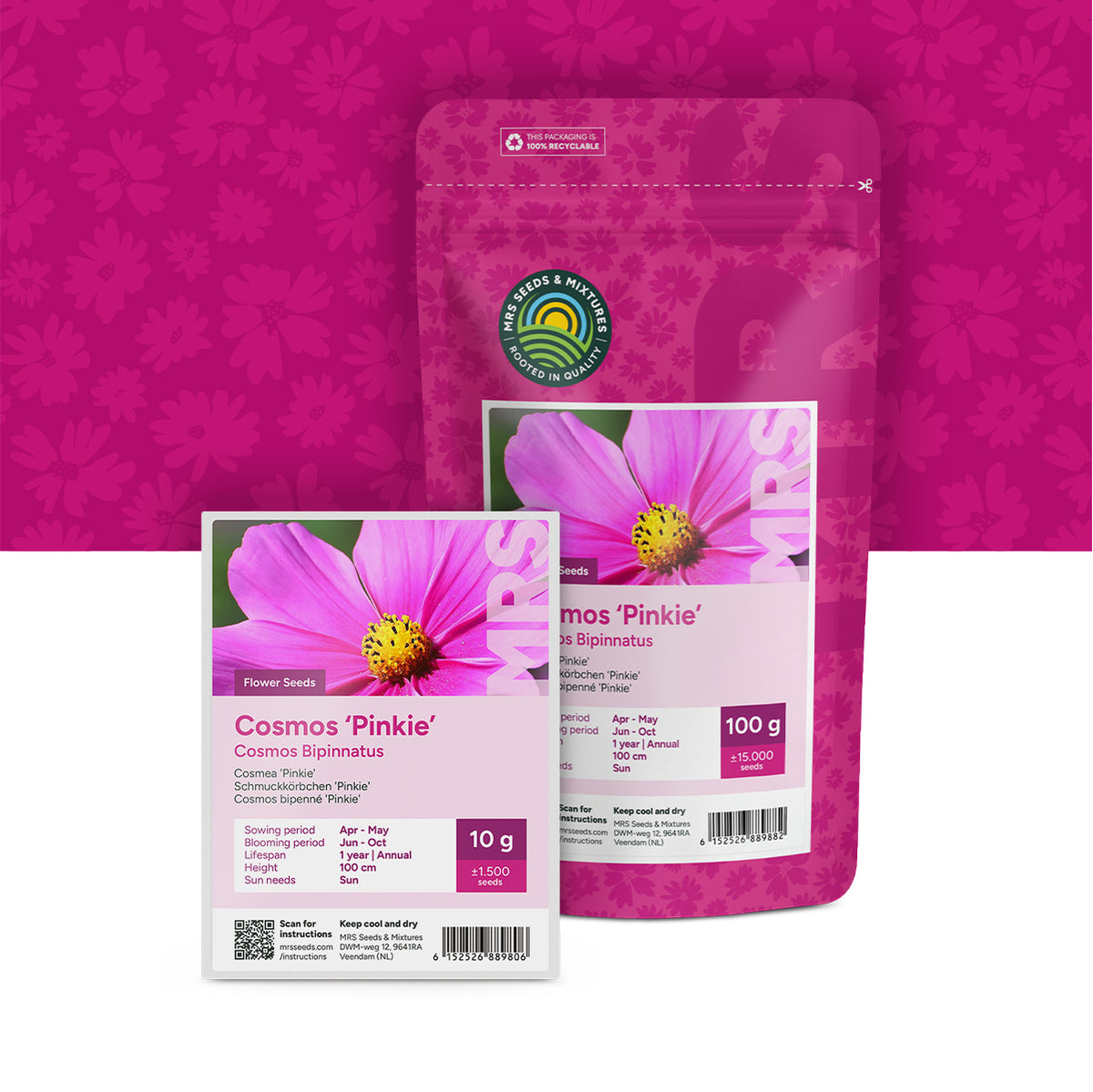 Cosmos bipenné 'Pinkie'