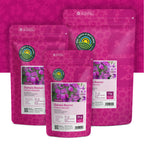 Julienne des dames – Hesperis matronalis