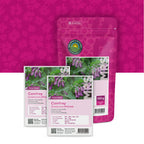 Consoude officinale – Symphytum officinale