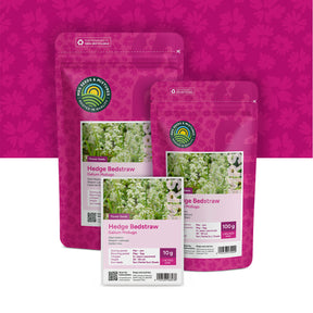Gaillet mou – Galium mollugo