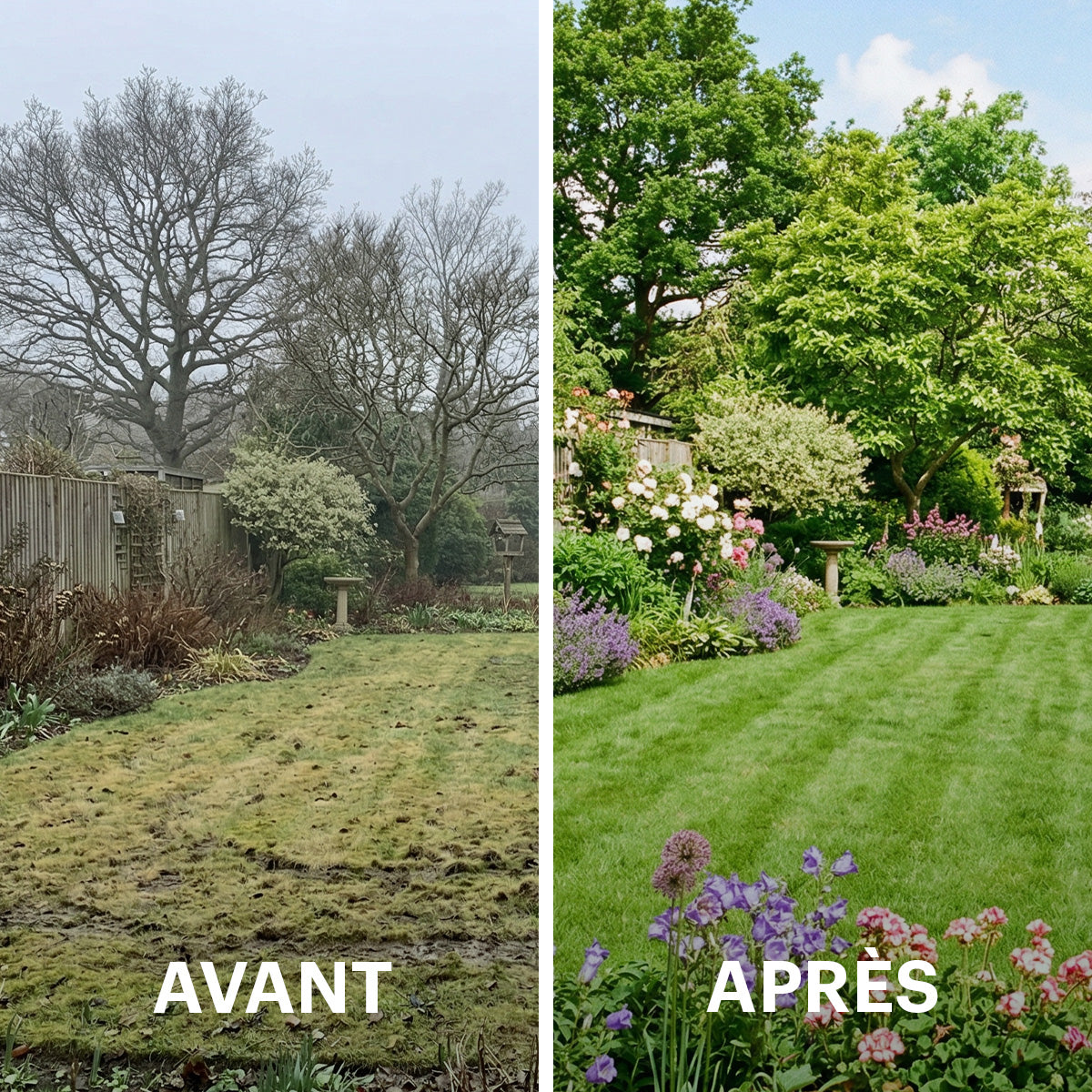 [fr]