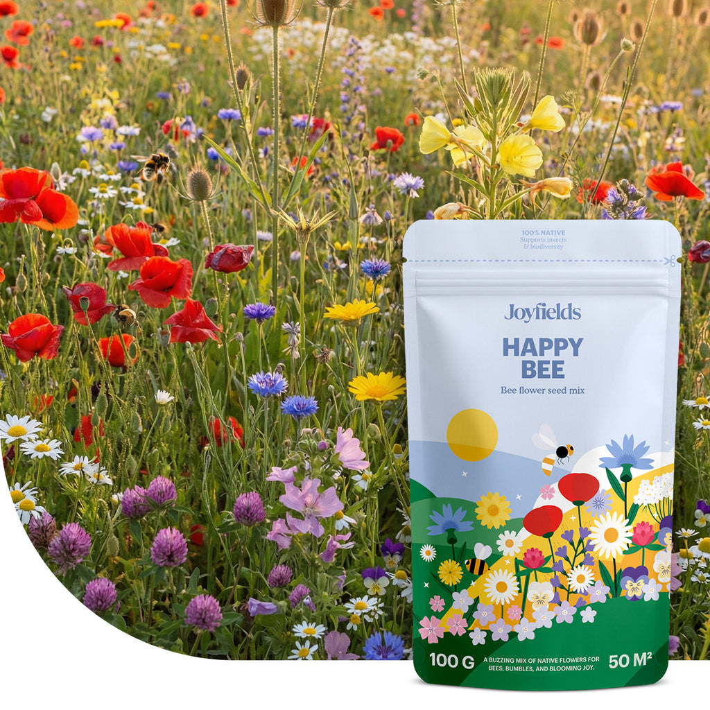 Happy Bee – Mélange de fleurs indigènes pour abeilles et bourdons