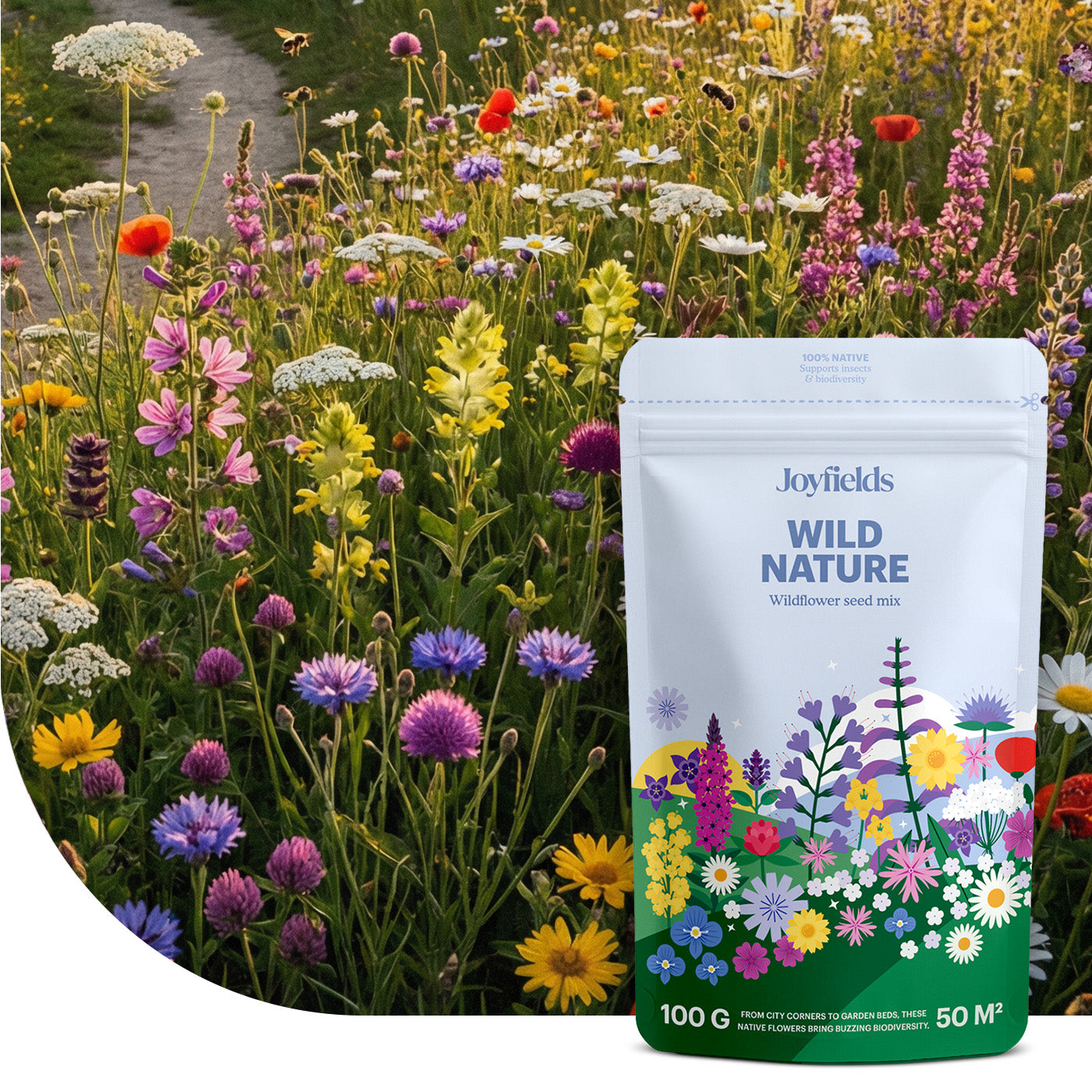 Wild Nature – Mélange de fleurs sauvages indigènes
