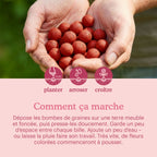 let-love-grow-flower-seeds-bombs-manual [fr]