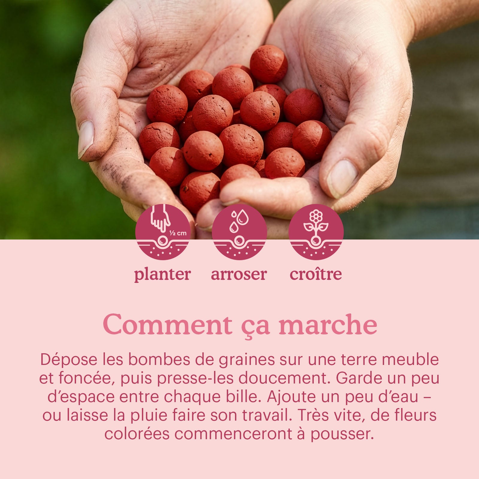 let-love-grow-flower-seeds-bombs-manual [fr]