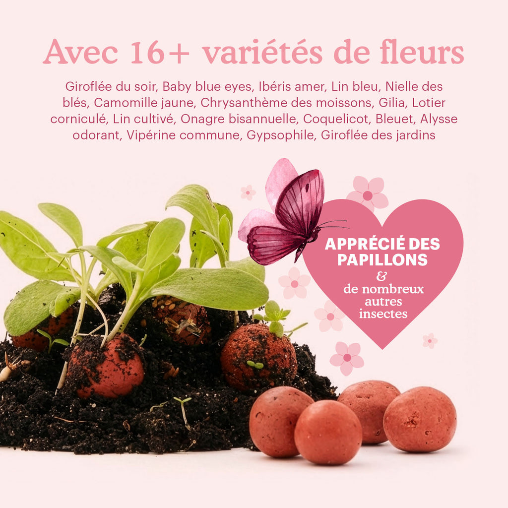 let-love-grow-flower-seeds-bombs-content [fr]