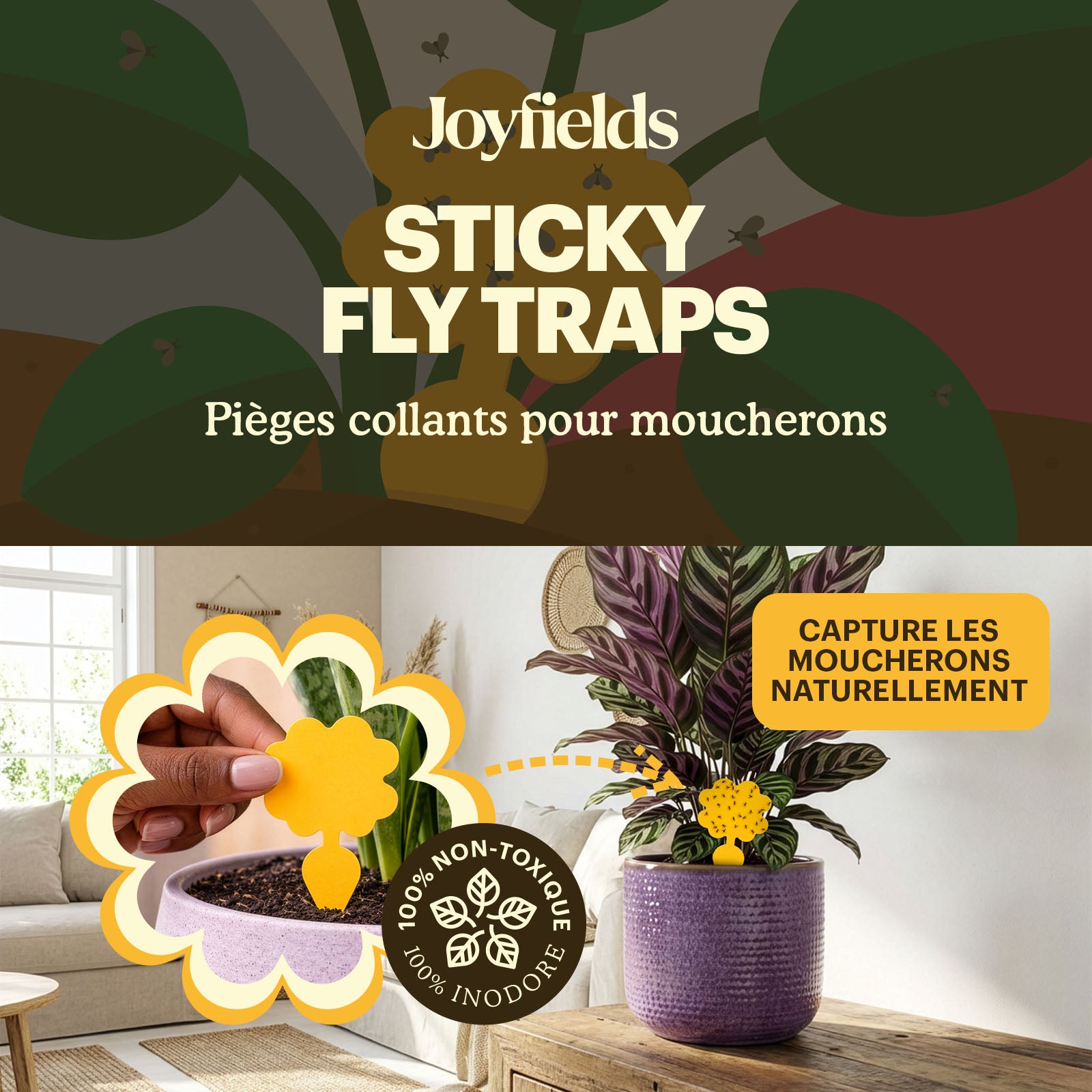 sticky-fly-traps-situation [fr]