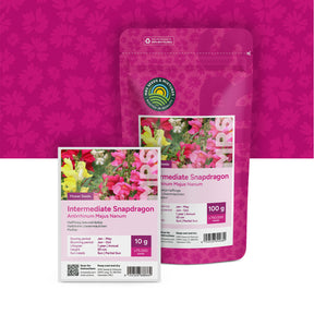 Mufliers – Antirrhinum