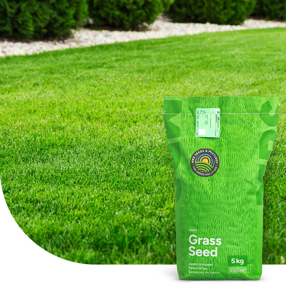 Luxury Lawn – RSM 1.1.1 Gazon ornamental