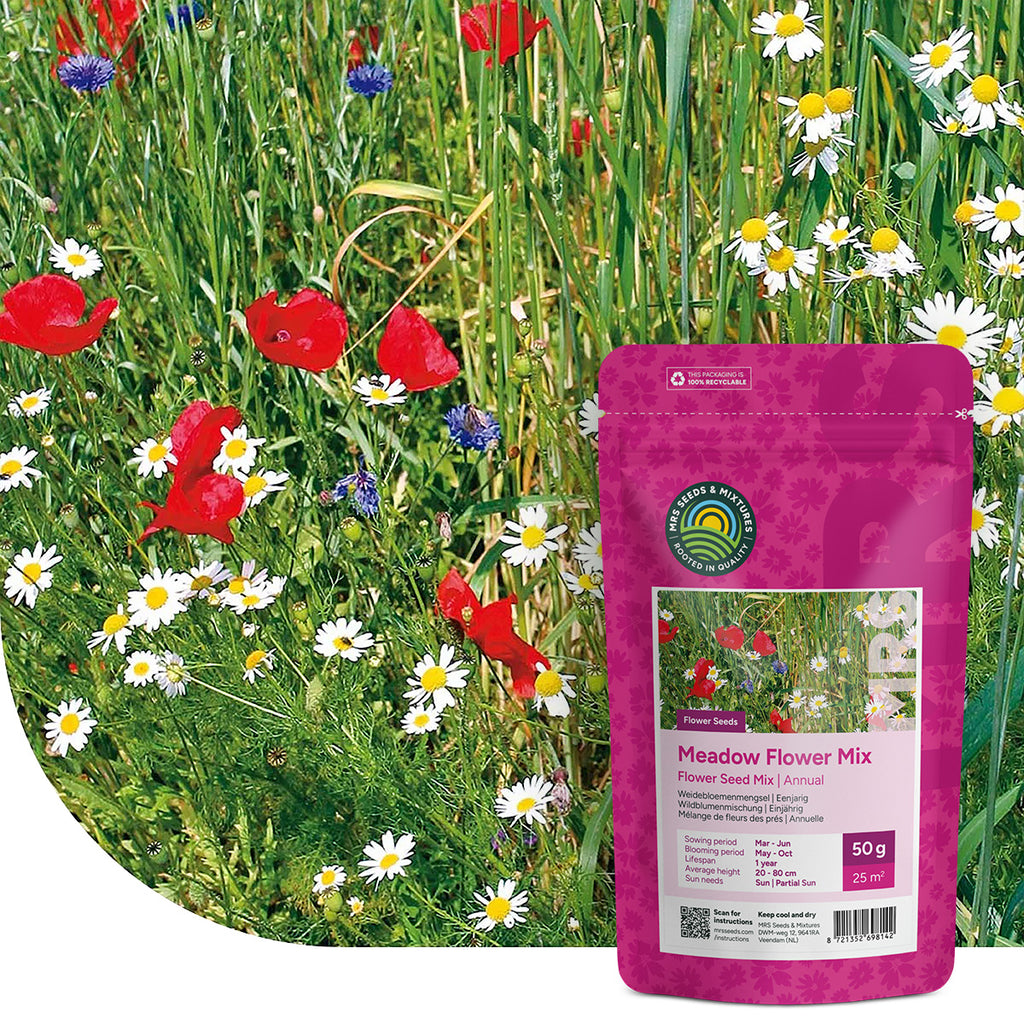 Mélange de fleurs des prés annuelles