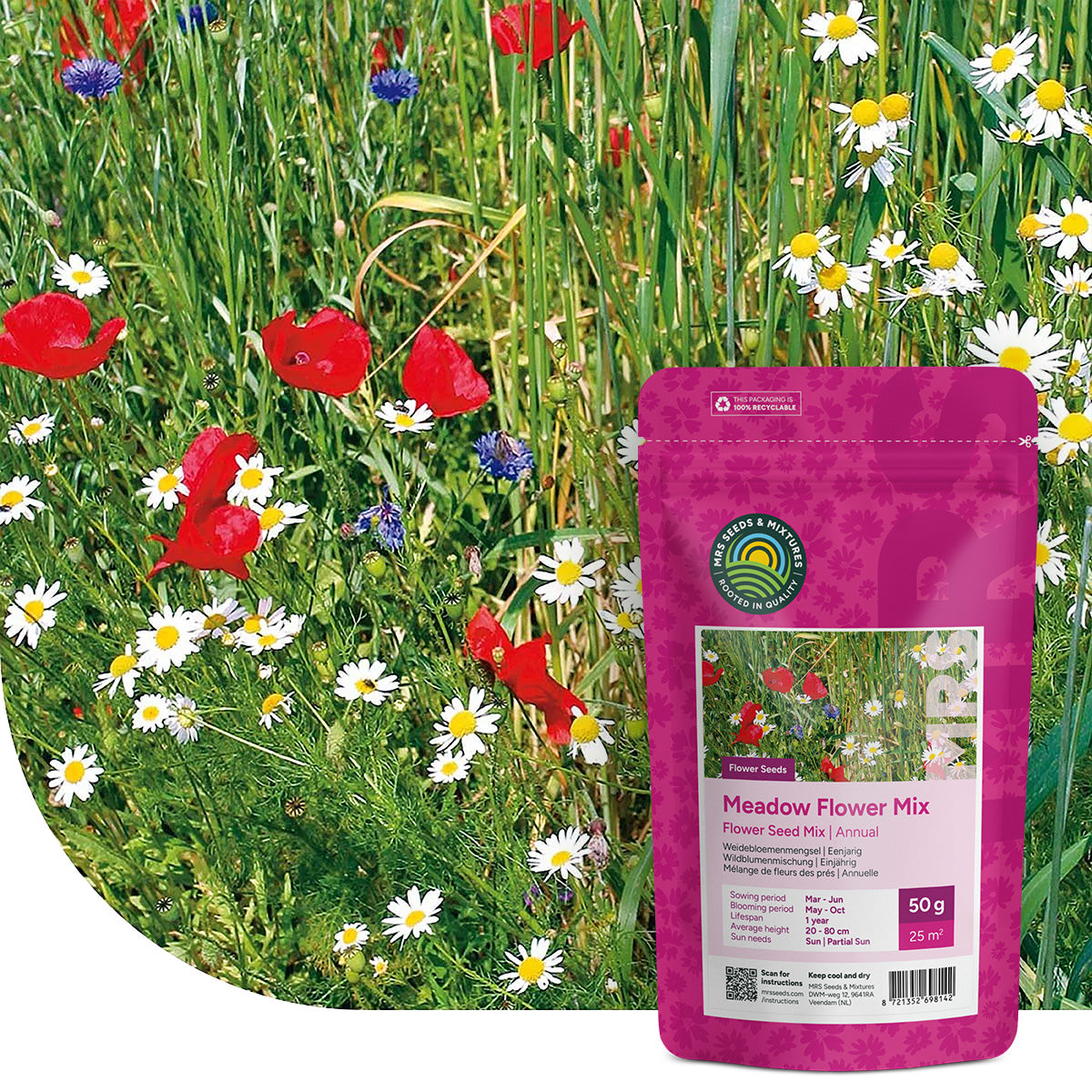 Mélange de fleurs des prés annuelles