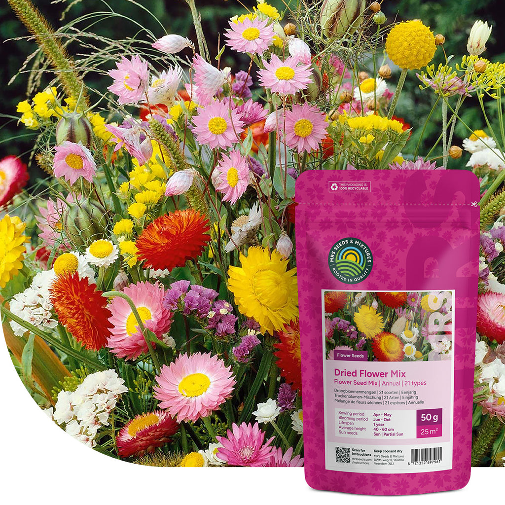Mélange de graines de fleurs séchées – 21 espèces