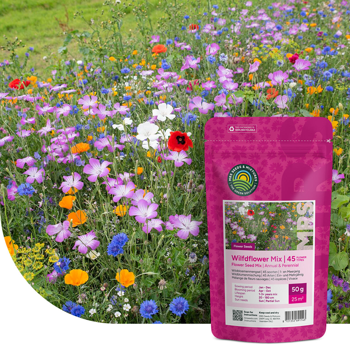 Mélange de fleurs sauvages annuelles et vivaces – 45 espèces