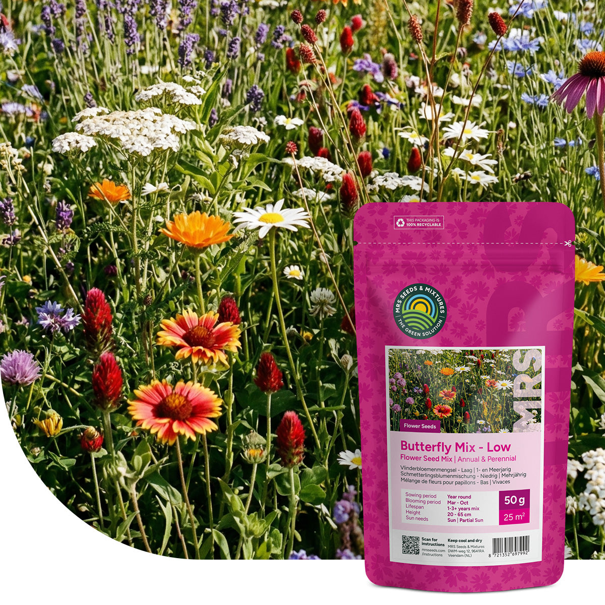 Mélange de fleurs pour papillons – Bas