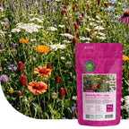 Mélange de fleurs pour papillons – Bas
