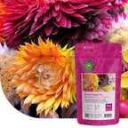 Mélange de fleurs sèches – 13 variétés