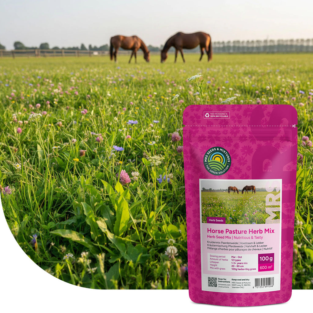 Mélange d'herbes pour pâturages de chevaux