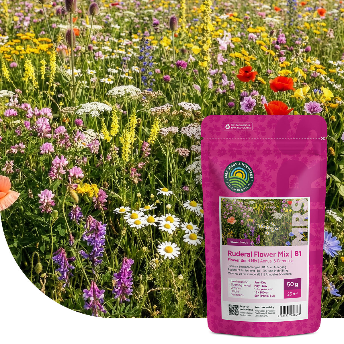 Type B1 – Mélange de fleurs coloré et rudéral