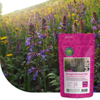 Mélange de fleurs résistant à la sécheresse