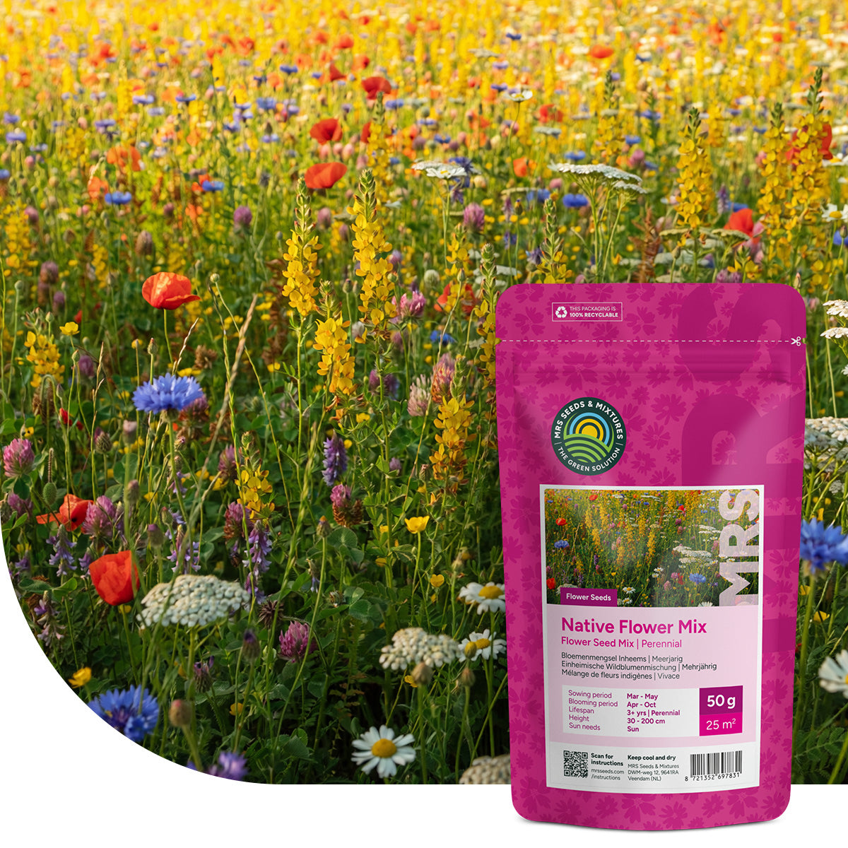 Mélange de fleurs indigènes – pluriannuelles