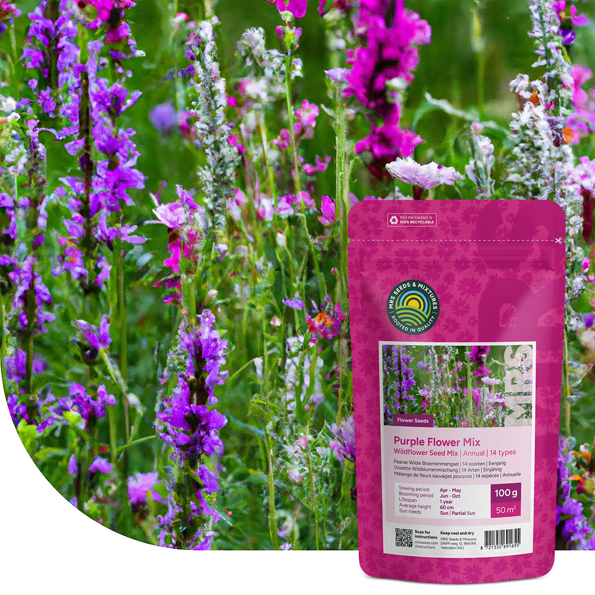 Mélange de fleurs sauvages pourpres – 14 espèces